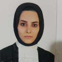 بهترین وکیل طلاق ملکی کیفری-امور حقوقی را به حرفه ای ها بسپارید -نادیا  متقی