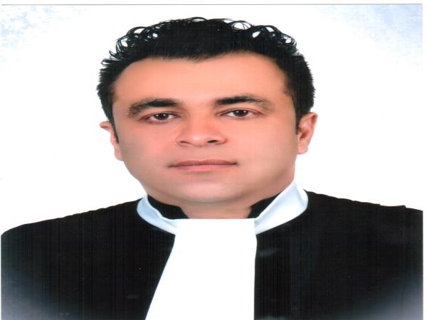 وکیل پایه یک دادگستری-وکیل پایه یک دادگستری-بابک حبیبی
