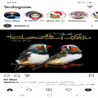 قبول وکالت و ارائه مشاوره تخصصی-قبول وکالت و ارائه مشاوره تخصصی -مجتبی کمالی